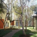 1 Bedroom house to rent in Brooklyn, Pretoria For Rent Gallery Image
